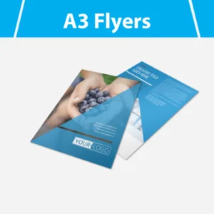 A3 Flyers