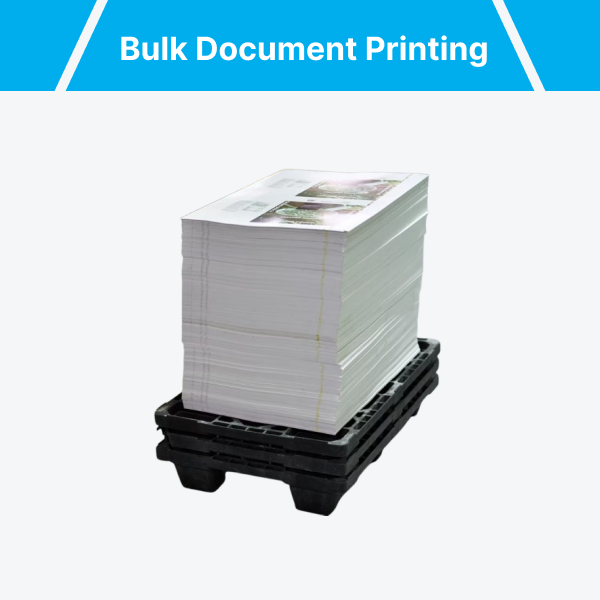 Bulk Digital Prints