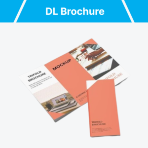 DL Brochures (A4 Folded to DL)